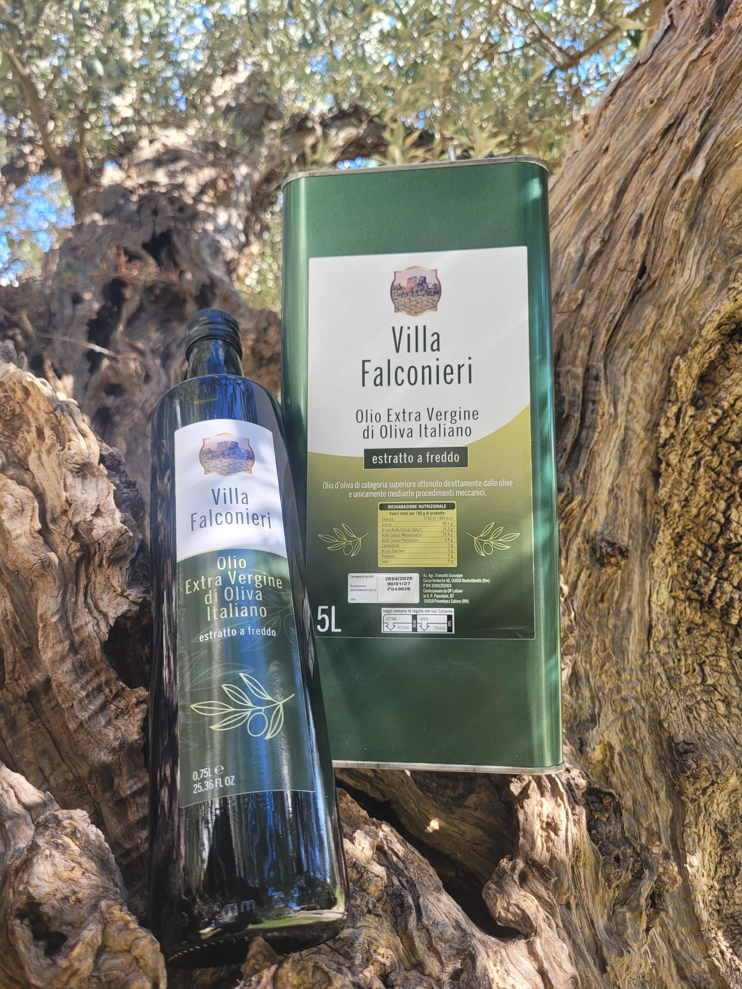 Olio Villa Falconieri
